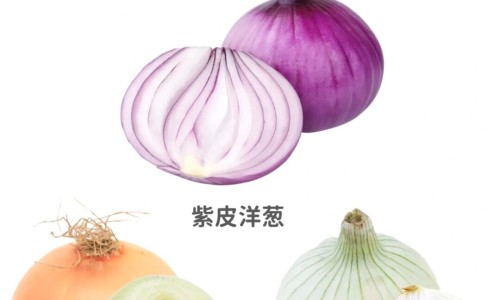 清肺十八味丸正品价格及图片-清肺十八味丸正品价格网-分享清肺18味丸药品使用说明书，清肺十八味丸正品价格是多少知识库