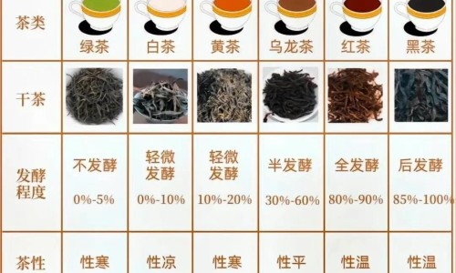 清肺十八味丸主治什么病-清肺十八味丸正品价格网-分享清肺18味丸药品使用说明书，清肺十八味丸正品价格是多少知识库